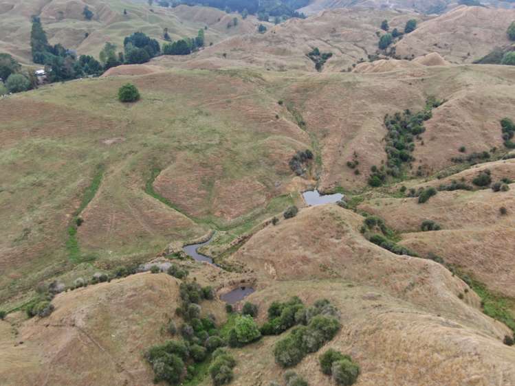 3062 State Highway 4 Aria_5