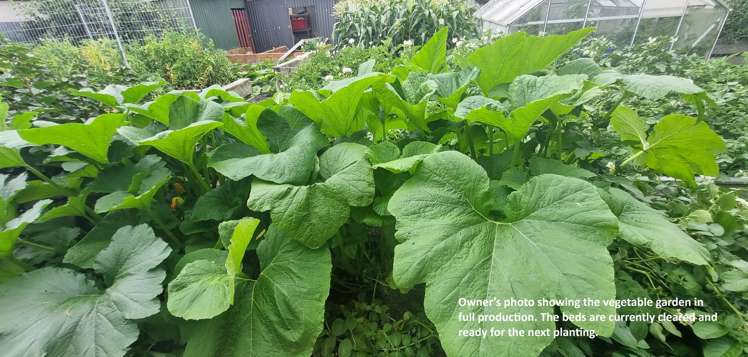 27 Moore Avenue Tawhero_34