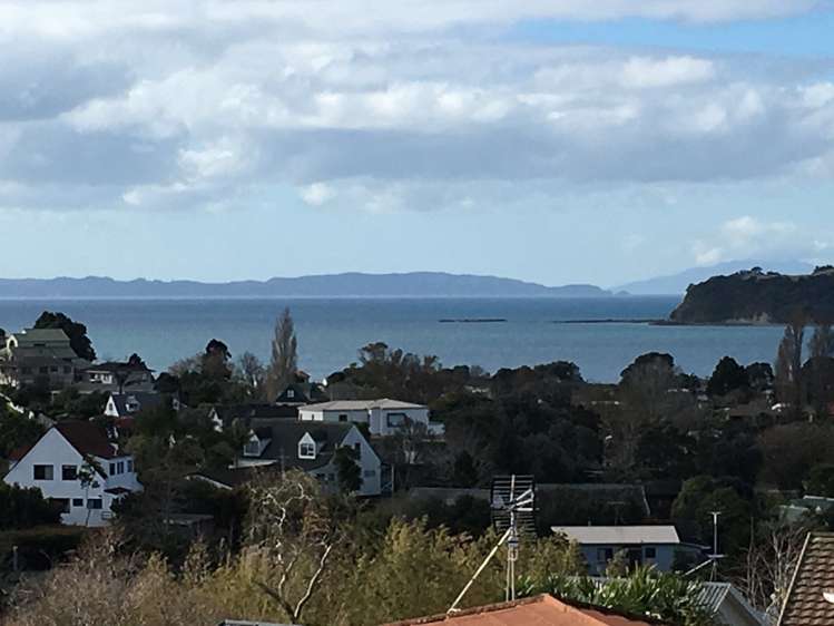 2/4 Homestead Road Manly_13