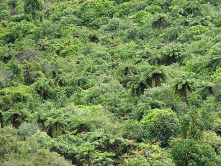 351 Harvey Road Marahau_13