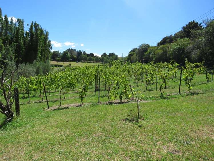 305 Pungaere Road Kerikeri Surrounds_5