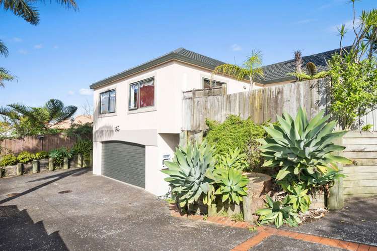 2 Zambezi Lane Mount Roskill_0