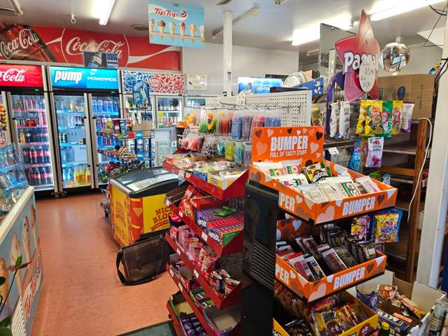 63 Williamson Avenue Grey Lynn_3