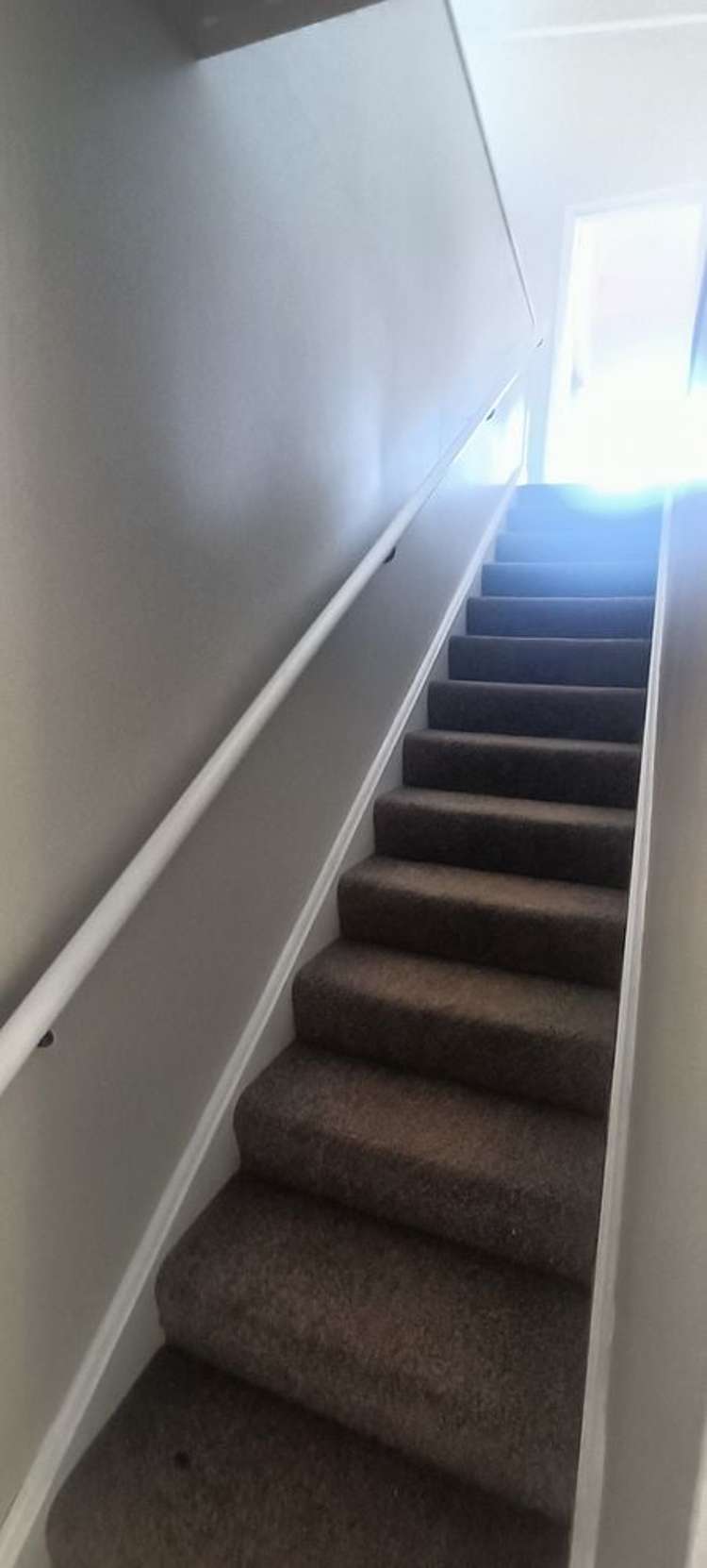 120 Nicholson Road Khandallah_16