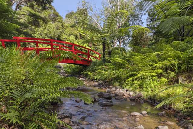 586 Tapu Coroglen Road Tapu_4