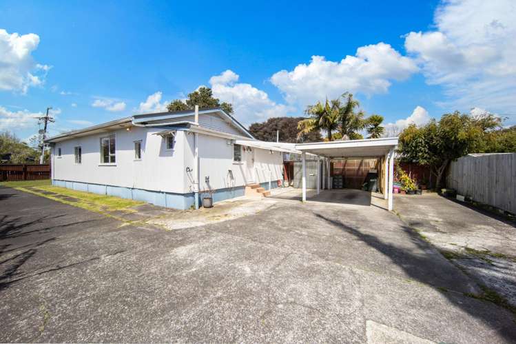 17A Arran Street Avondale_16