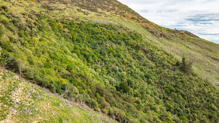 1301 Western Valley Road Port Levy_6