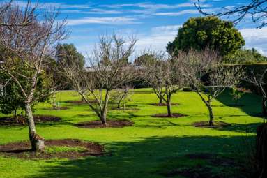 21A Pyle Road East_2