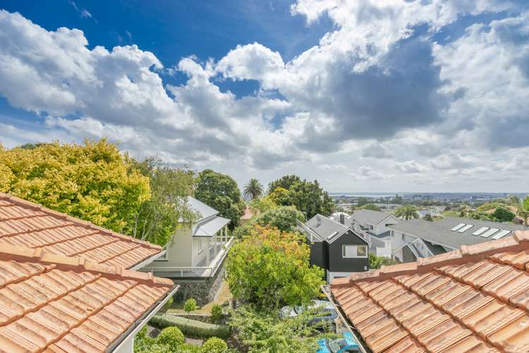 295f Mount Eden Road Mount Eden_11