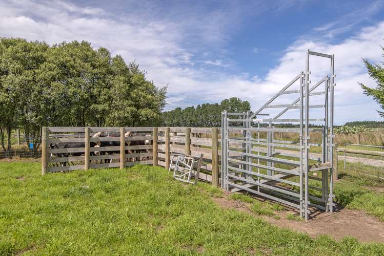 665 Wolffs Road West Eyreton_20