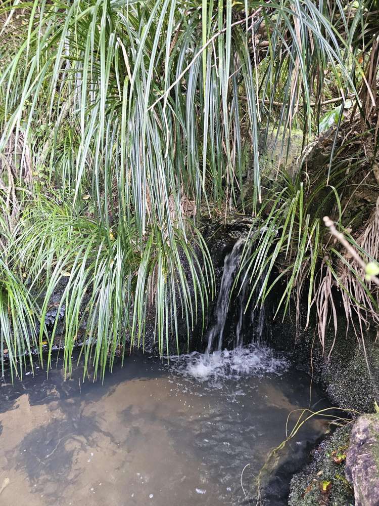 121 Ohawini Road Oakura_35