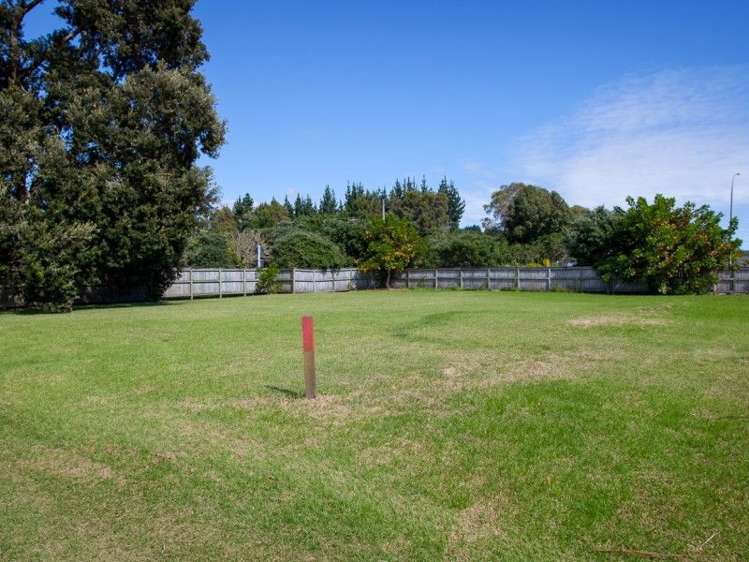 8 Flame Tree Lane Taipa_11