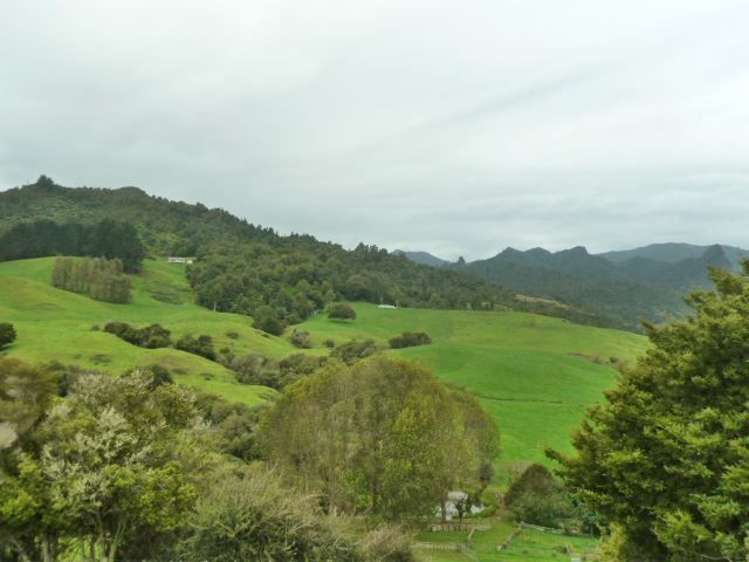 102 Wires Road Hikutaia_35