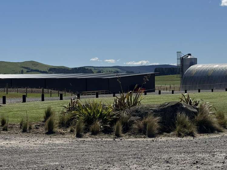 2/1389 Taharua Road Rangitaiki_5