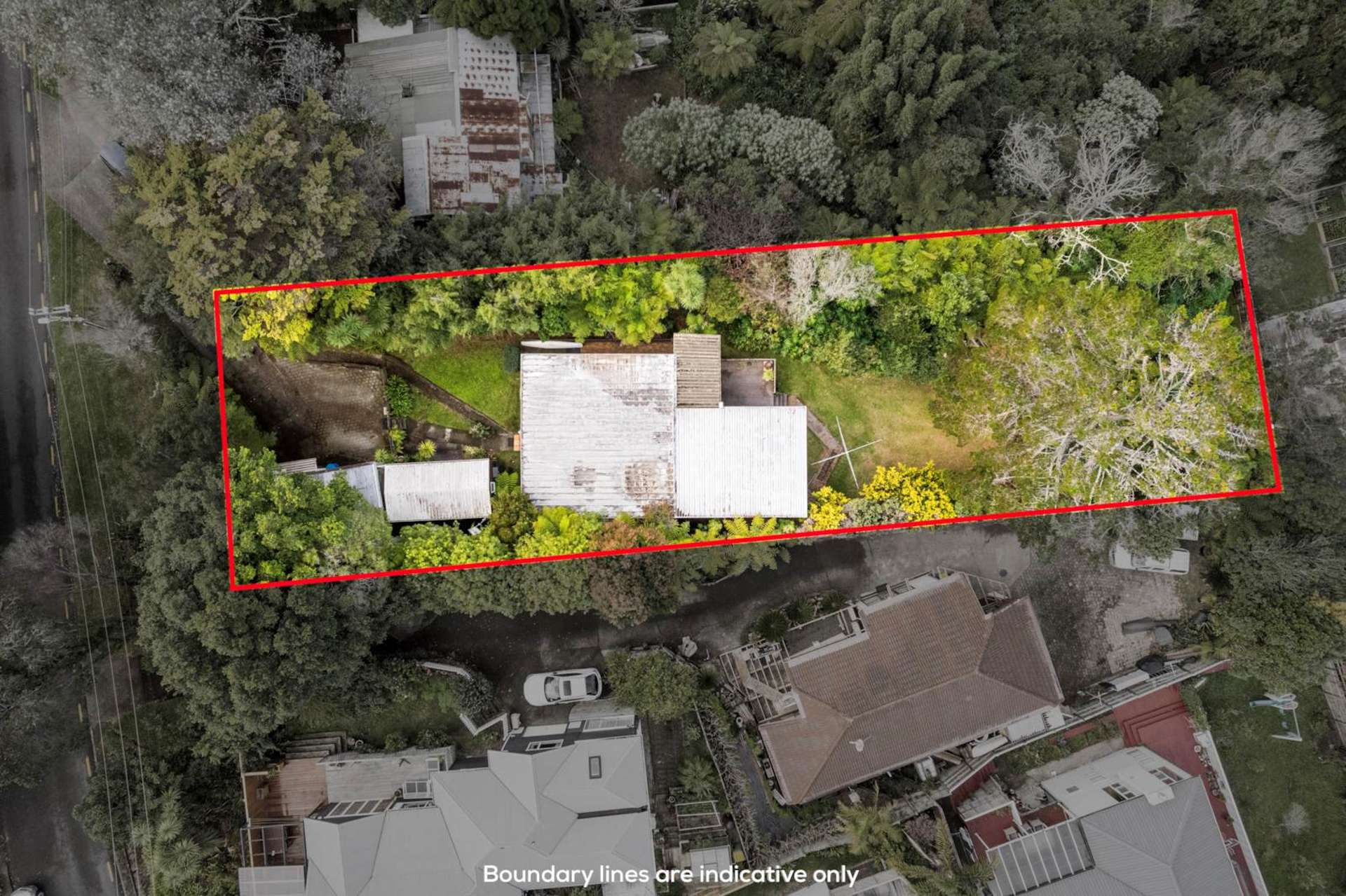 38 Nigel Road Browns Bay_0
