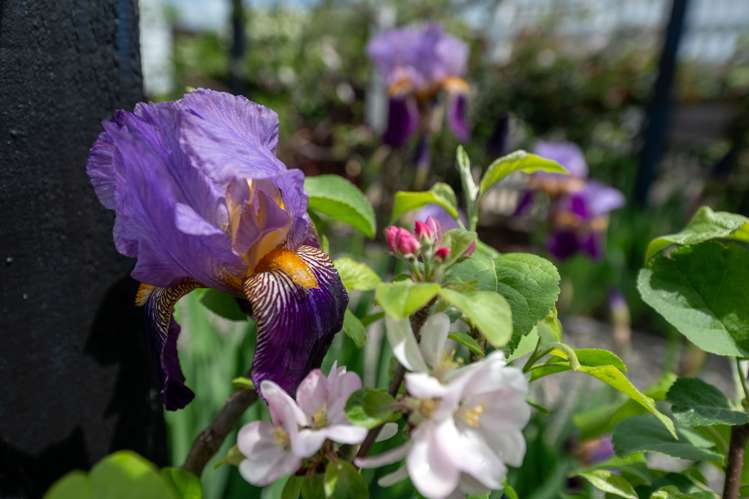 44 Robertson Street Glenholme_30