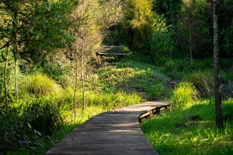 154 Te Pahu Road Te Pahu_38