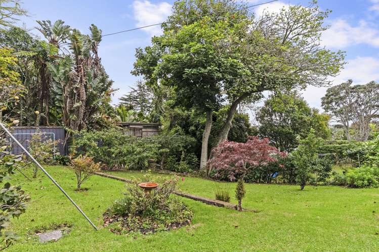 16 Mountain View Road Morningside_19