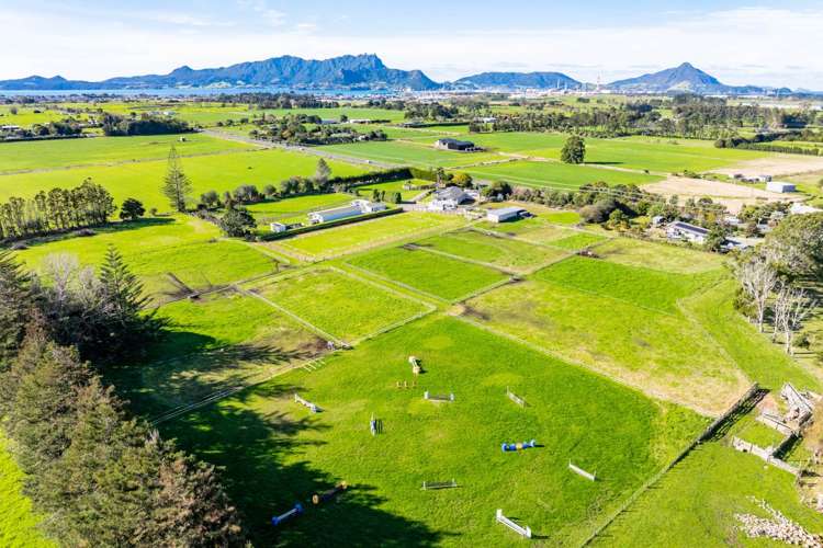 712 One Tree Point Road One Tree Point_5