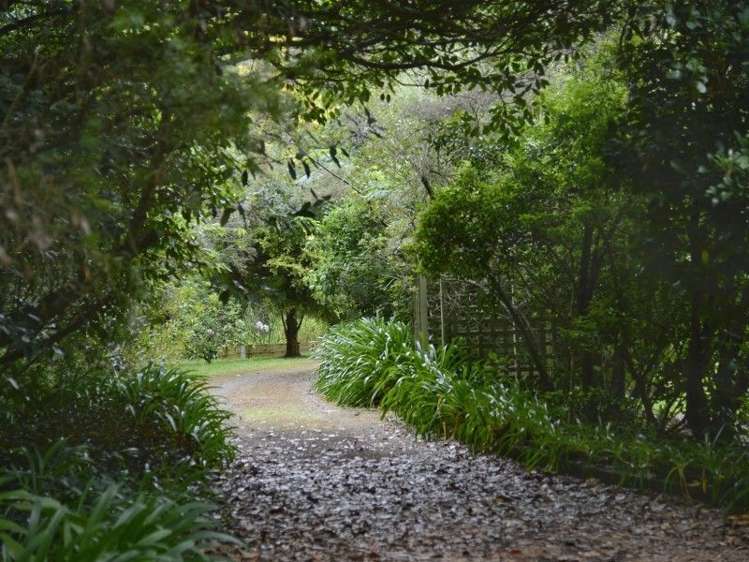 808 State Highway 53 Tauwharenikau_5