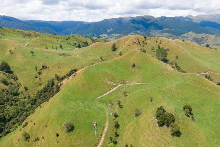 131 Rangitane Road Mangaweka_9