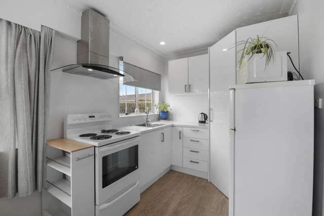 33 Leefield Street Blenheim_1
