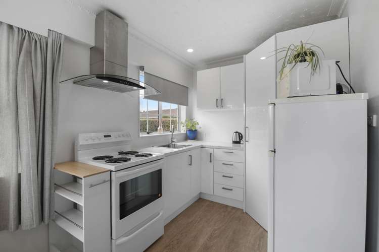 33 Leefield Street Blenheim_1