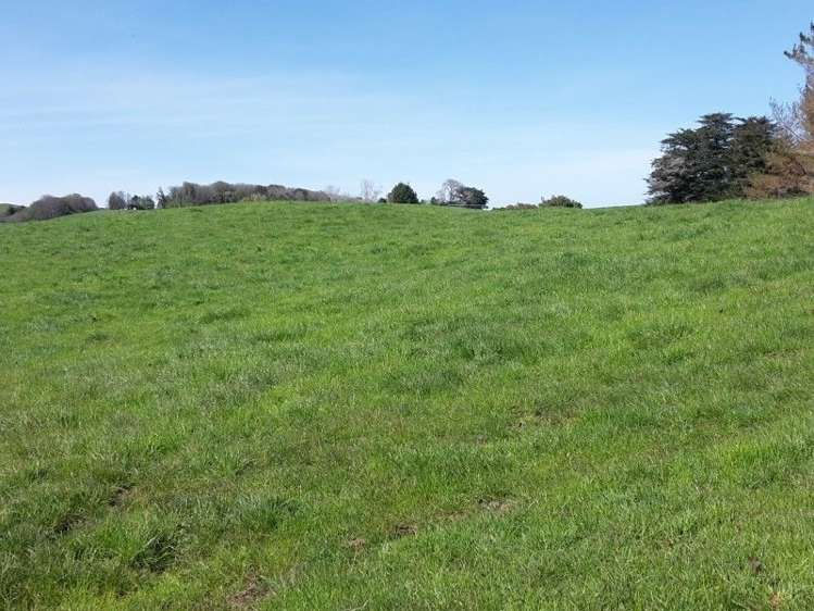 346 Rugby Road Tariki_78