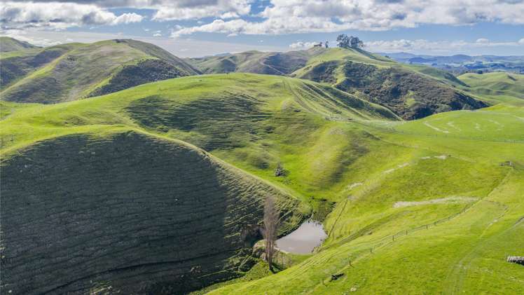 418 Tikokino Road Waipawa_7