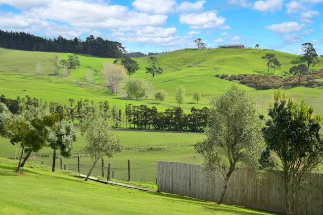 62 Frost Road Waitoki_3