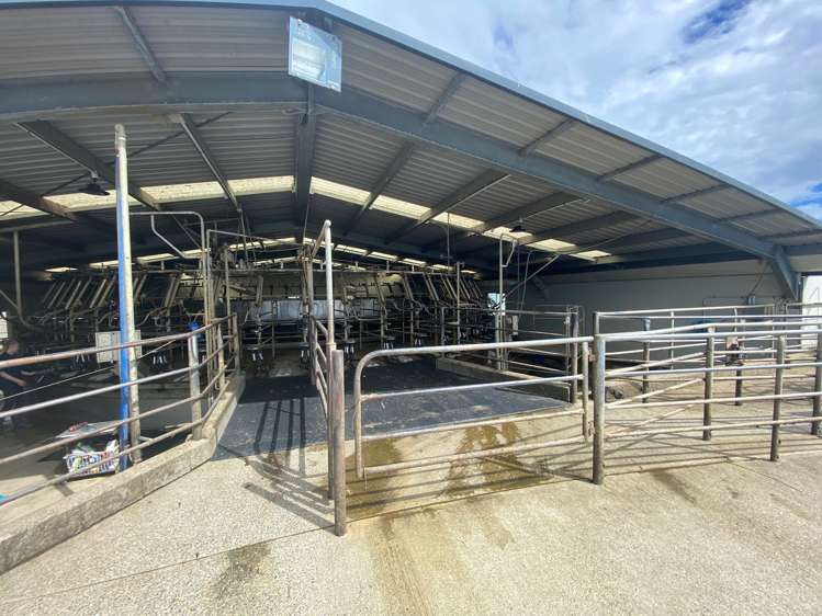 39 Hall Road Awarua Plains_3