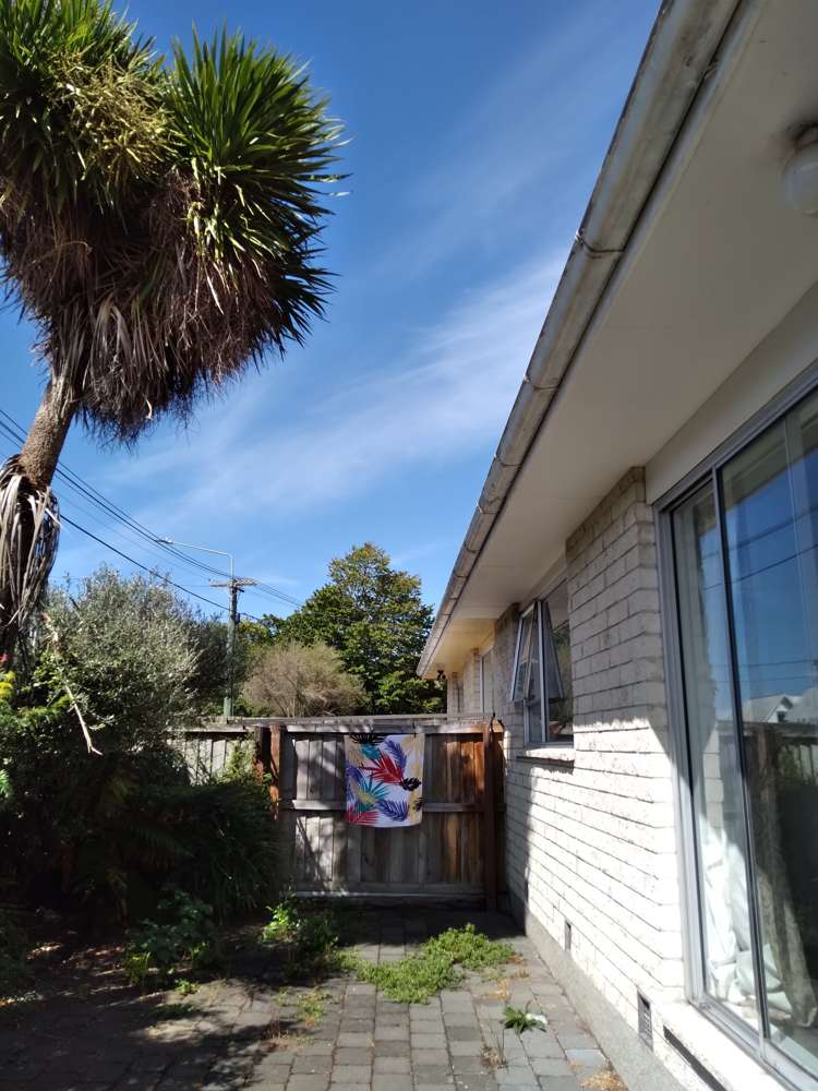 2/518 Cashel Street_0