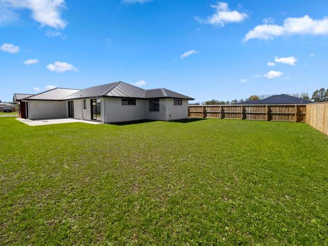 56 Catherine Street Tinwald_3