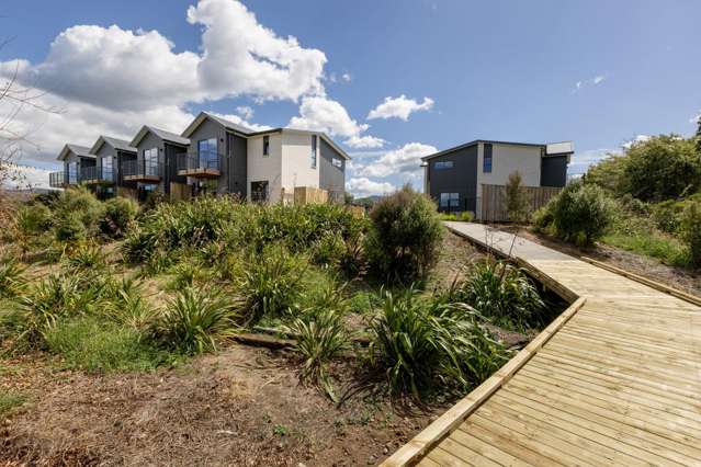 21 Haiku Way Katikati_2