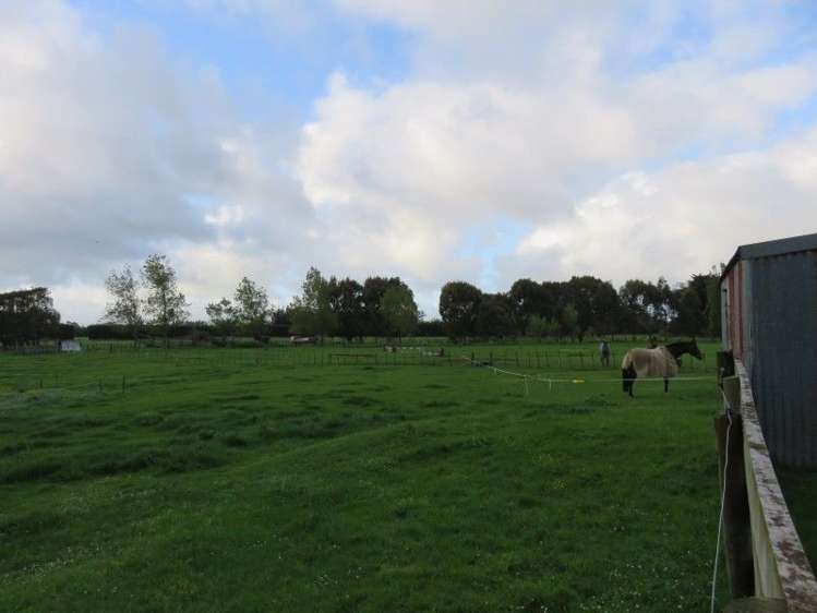 39 Brandon Hall Road Bulls_18