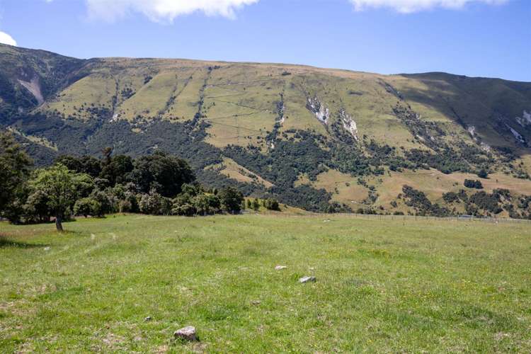 1178 Puhi Puhi Road Puhi Puhi_24