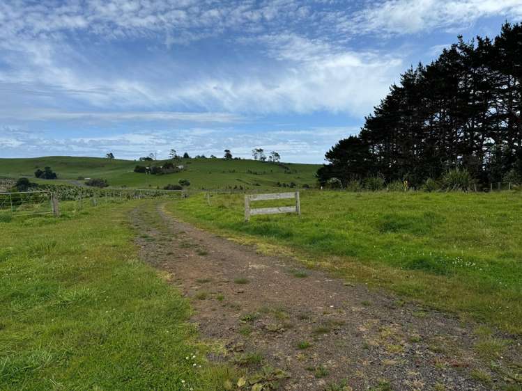 4584 State Highway 12 Dargaville Surrounds_14