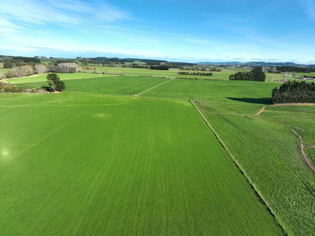 1475 Glencoe Highway Te Tipua_3