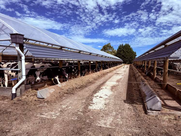 867 Hundred Line Road East South Hillend_13