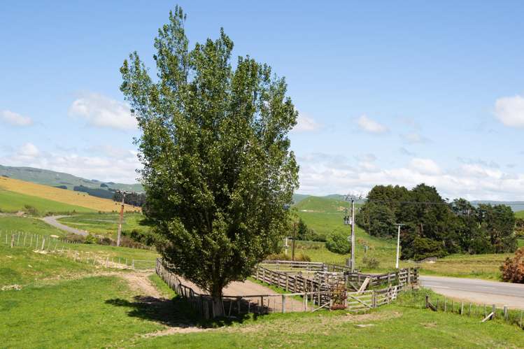 1921 Weber Road Dannevirke_36