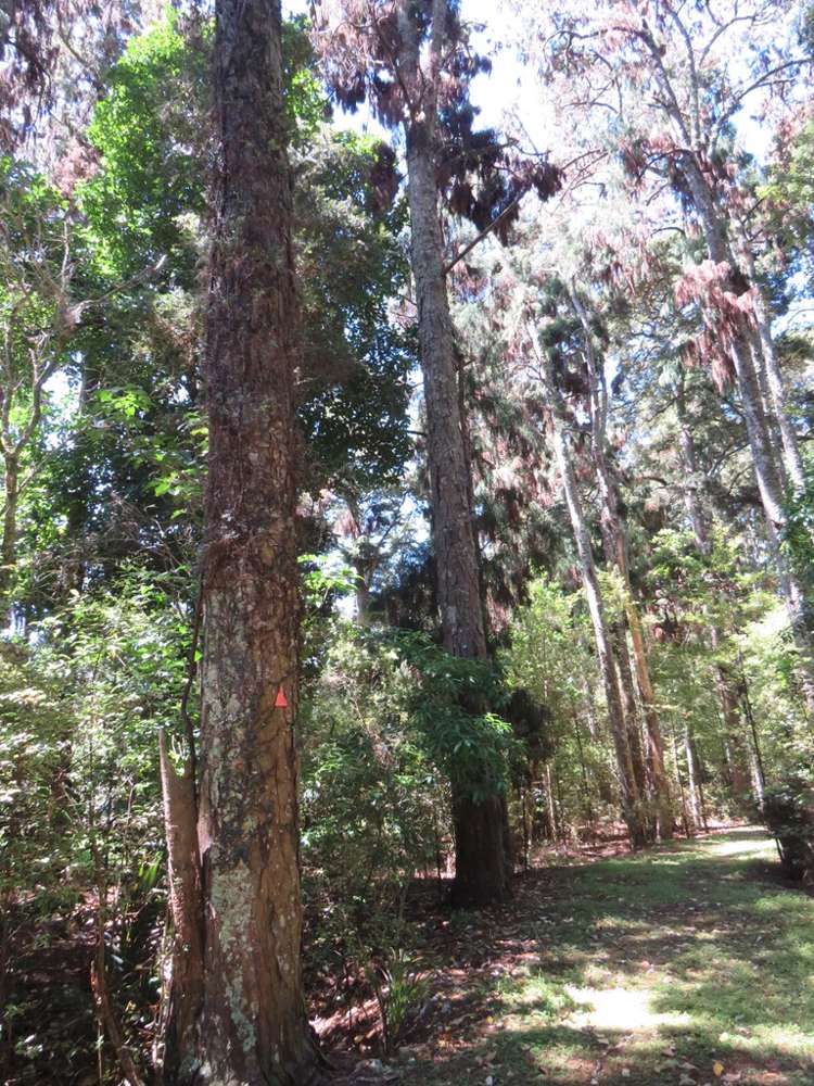 504b Wairere Road Maungaturoto_34