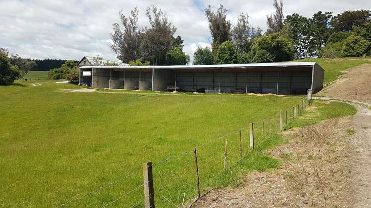 259 Kaihiku Church Road Clinton and Surrounds_18