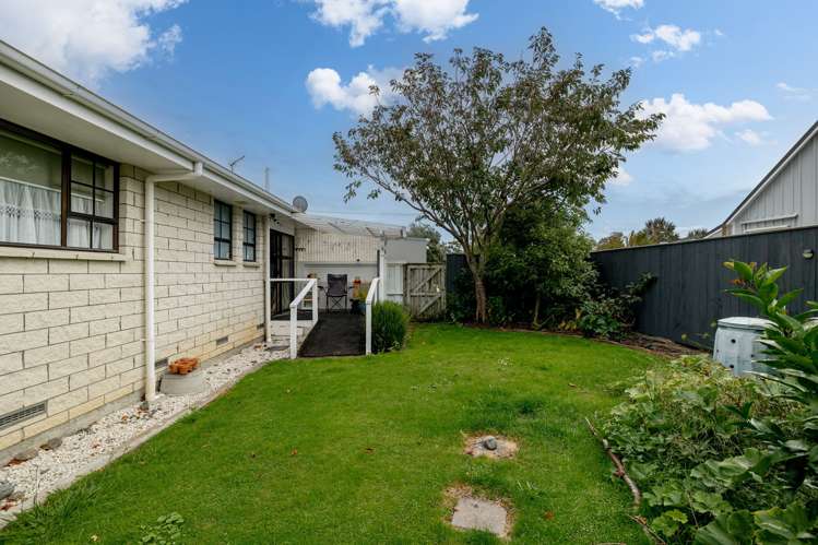 36 Criterion Street Bulls_16