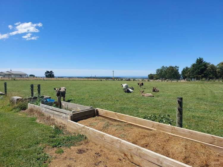 367 Engelbrechts Road Hunter_24