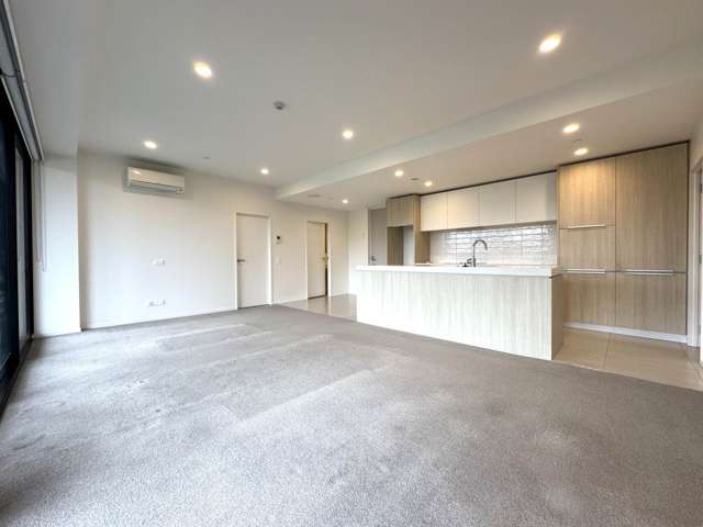 208/189 College Road Stonefields_2