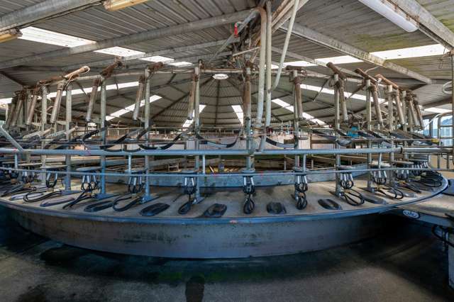 313 Te Wera Road Matawai_3