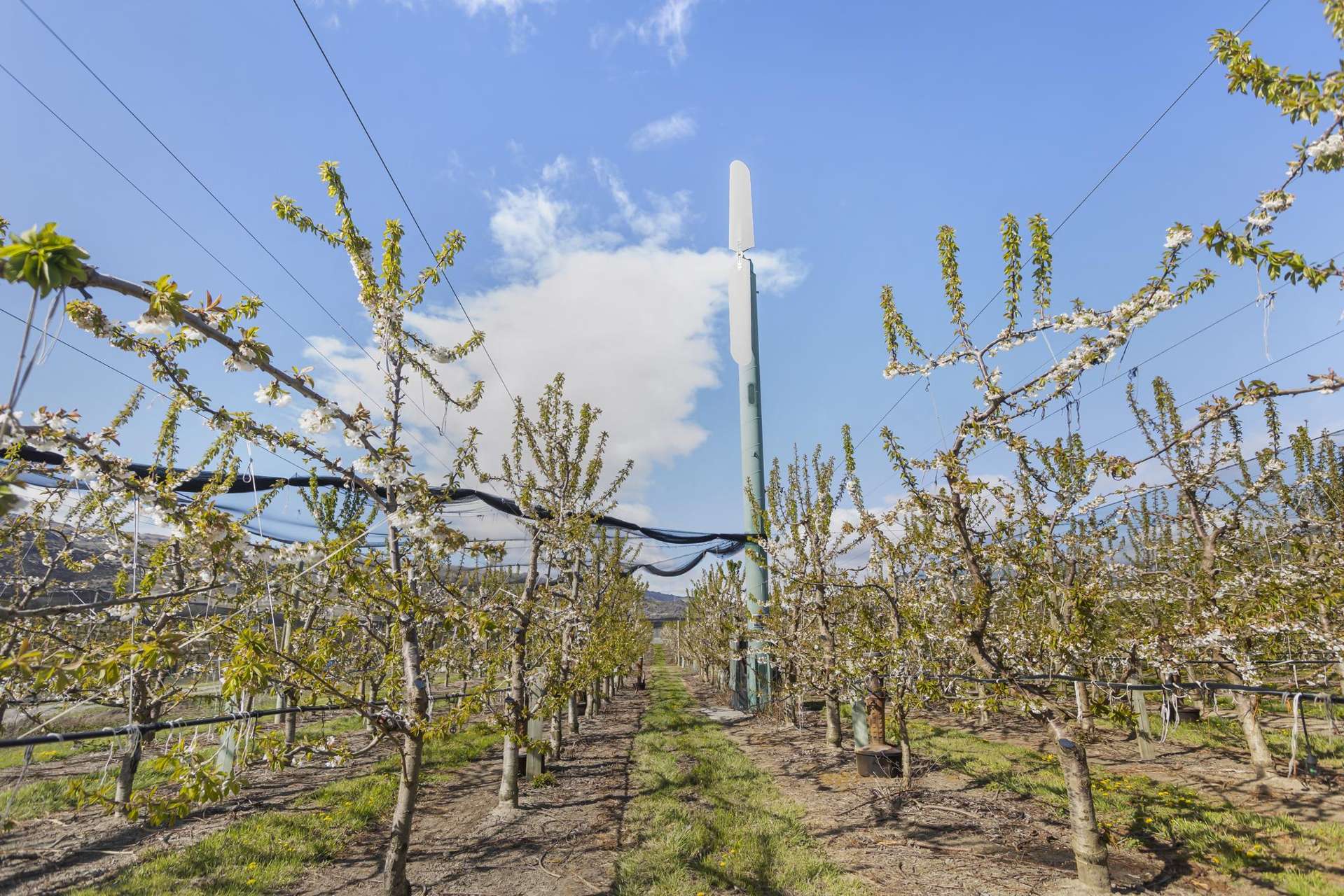 Smiths Way Mount Pisa_0