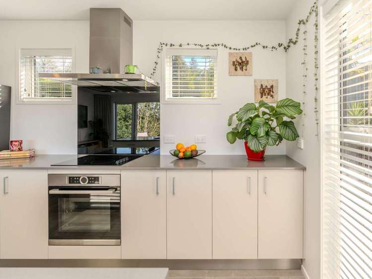 11B Heron Hill Kerikeri_14