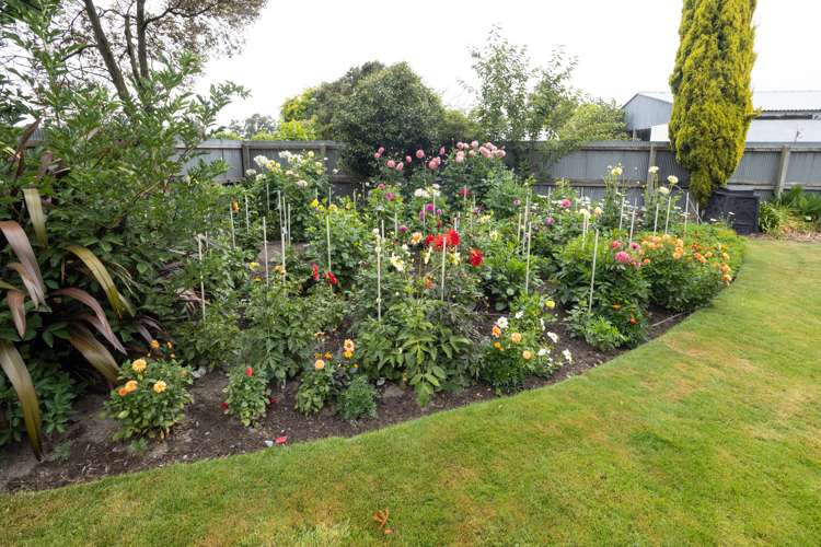 73 Harland Street Tinwald_18