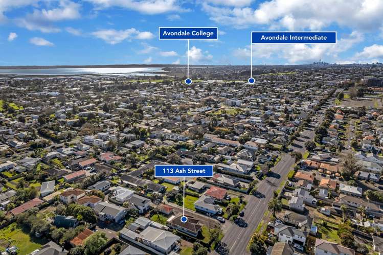 113 Ash Street Avondale_25